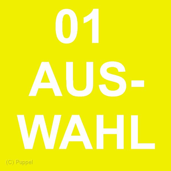 0 01 AUSWAHL.jpg